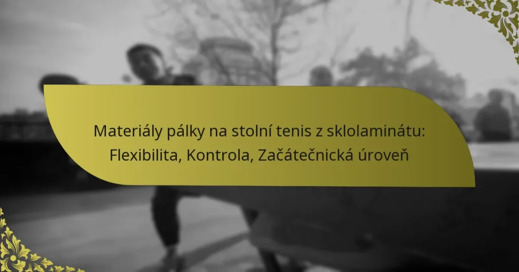 Materiály pálky na stolní tenis z sklolaminátu: Flexibilita, Kontrola, Začátečnická úroveň