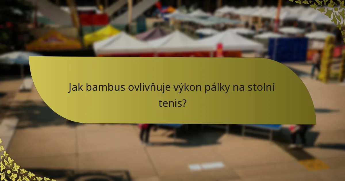 Jak bambus ovlivňuje výkon pálky na stolní tenis?
