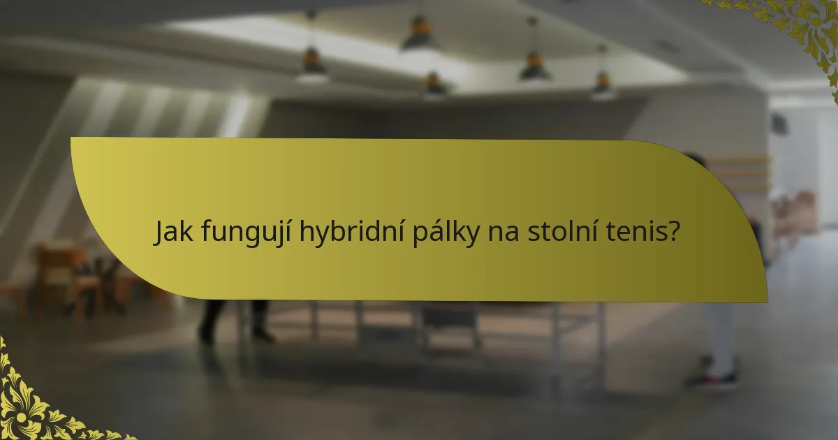 Jak fungují hybridní pálky na stolní tenis?