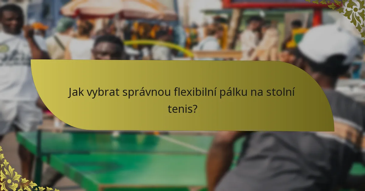 Jak vybrat správnou flexibilní pálku na stolní tenis?