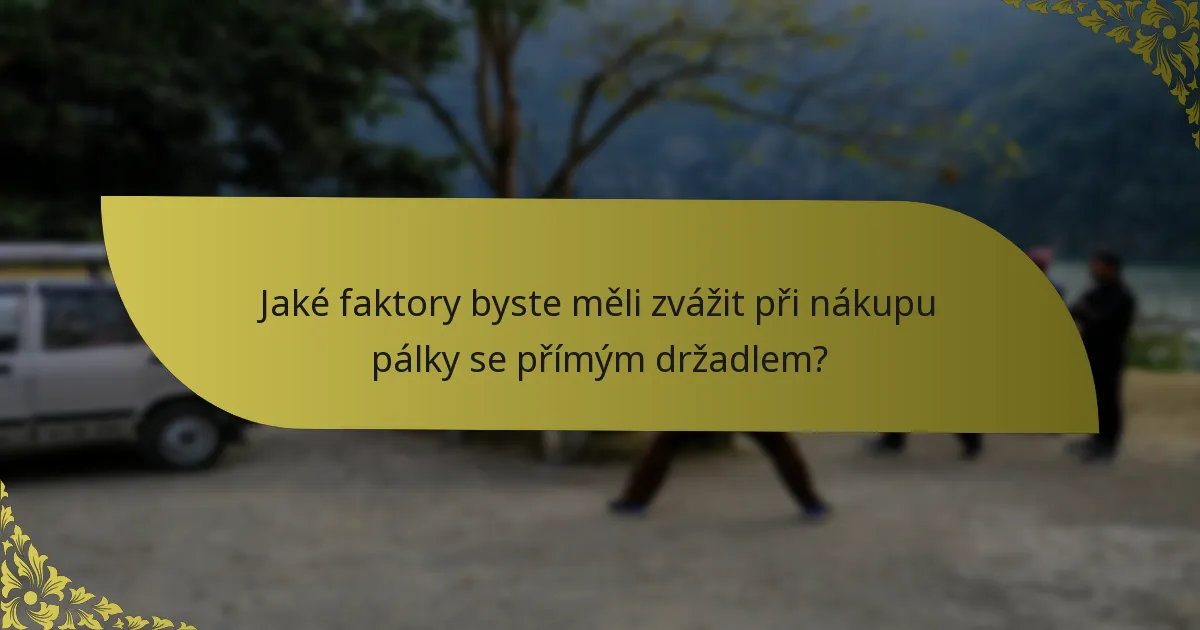 Jaké faktory byste měli zvážit při nákupu pálky se přímým držadlem?