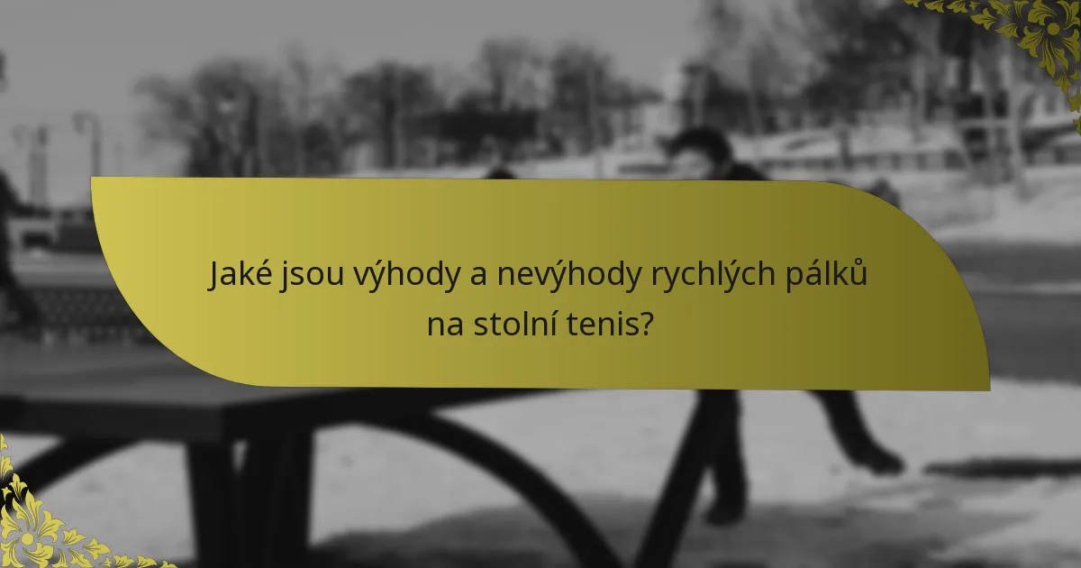 Jaké jsou výhody a nevýhody rychlých pálků na stolní tenis?