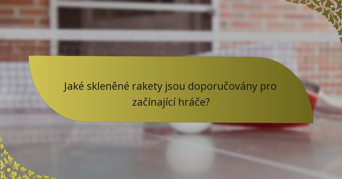 Jaké skleněné rakety jsou doporučovány pro začínající hráče?