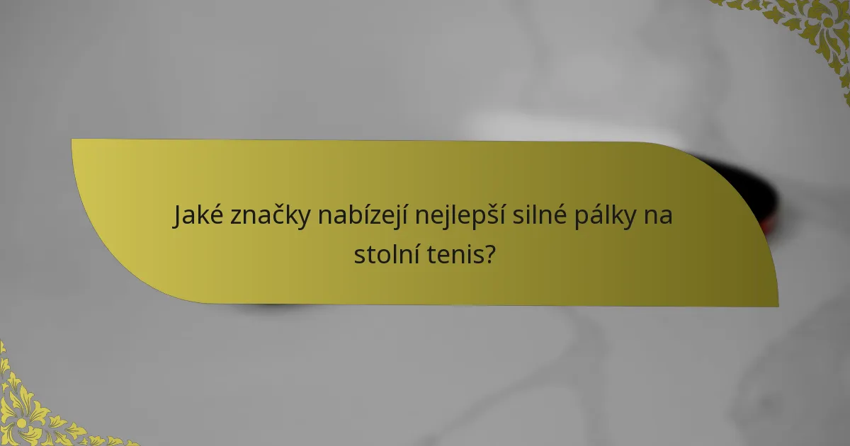 Jaké značky nabízejí nejlepší silné pálky na stolní tenis?