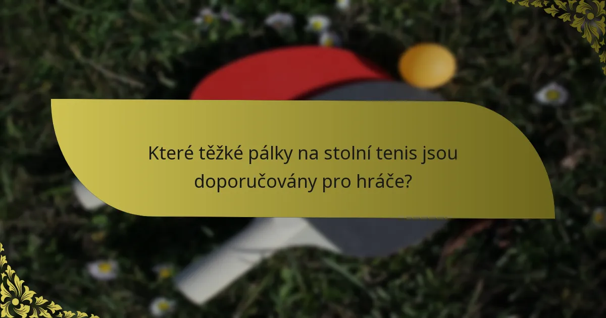 Které těžké pálky na stolní tenis jsou doporučovány pro hráče?